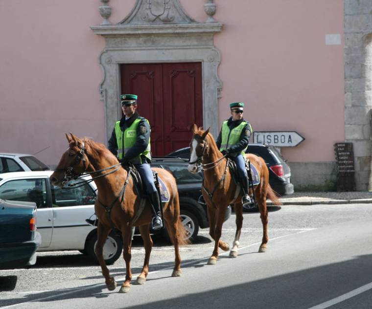 Horseback Police - Sintra