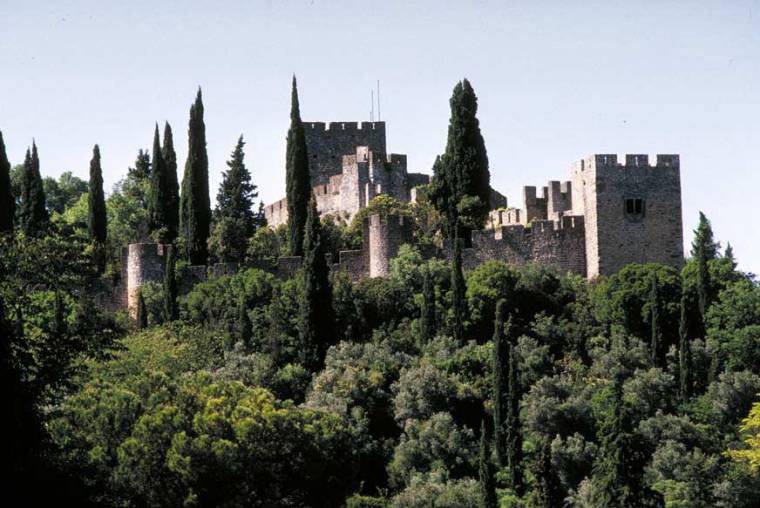 Tomar Castle