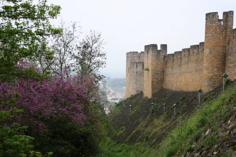 Tomar Castle Walls