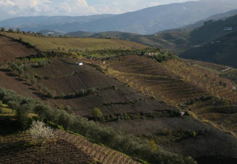 Countryside between Vila Real and Lamego