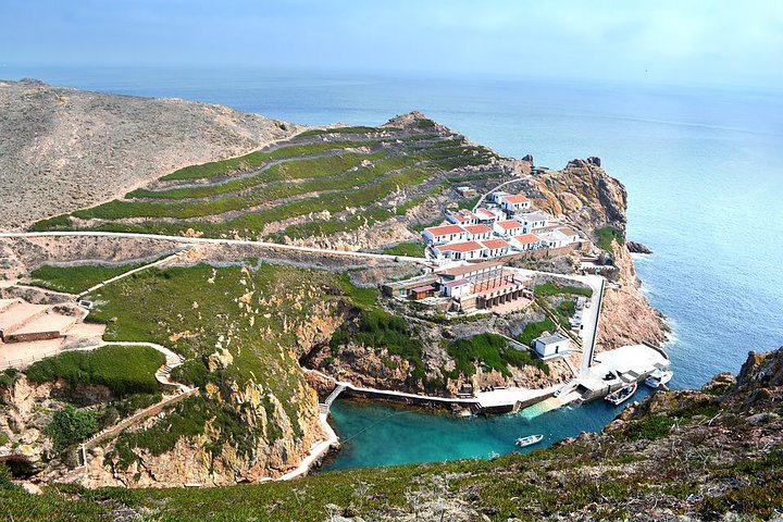 Berlenga Grande Island Private Tour from Lisbon