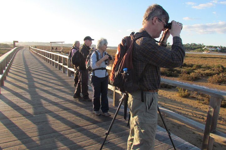 Laid-back birdwatching week