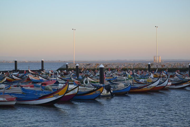 Private Tour to Ria de Aveiro from Aveiro or Porto