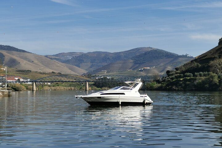 Douro Premium Tour - Gourmet Lunch | Wine Tasting | Private Yatch