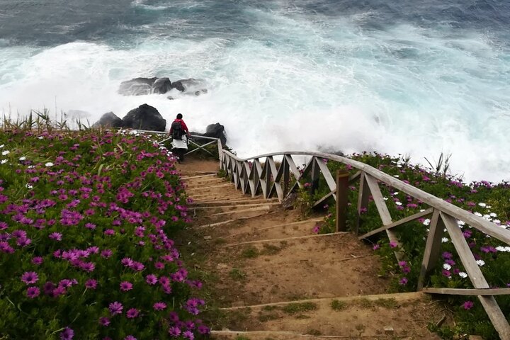 Walking Tour Ribeira Funda - Praia da Viola