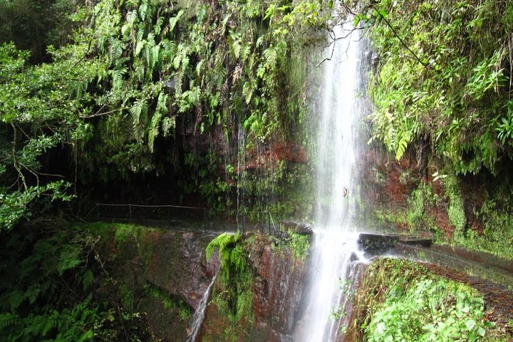 King's Levada / Ribeiro Bonito