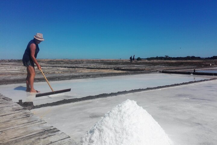 Figueira da Foz by rice paddies and salines