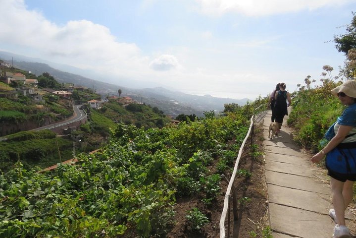 Rota do Vinho - Wine Route (Half Day Walk)