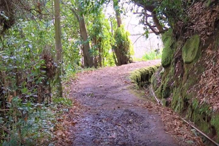 Valley de Paradise Levada Walk