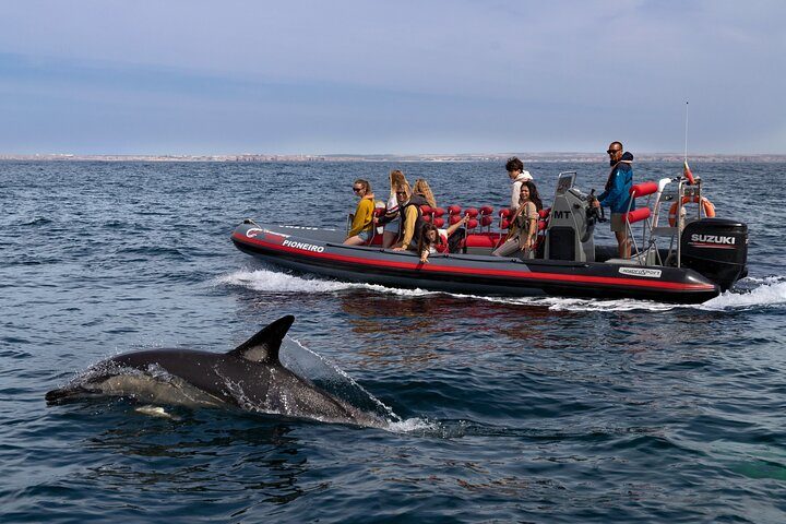 Benagil Caves and Dolphins Tour - Salema Beach