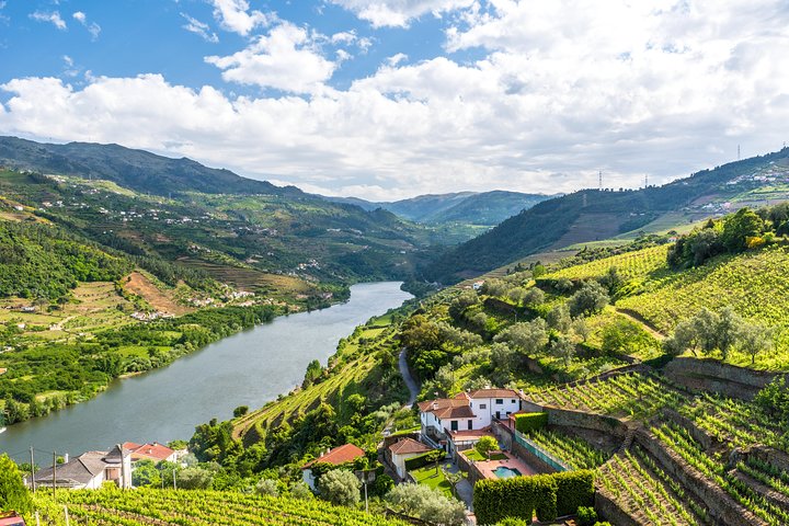 Porto: Day Trip to Douro