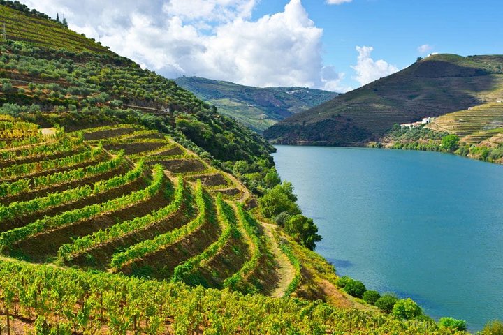 Douro Valley Wine Private Tour with Wine Tasting from Porto