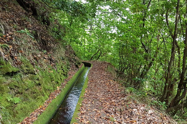 Private Guided Walk Levada dos Tornos Boaventura