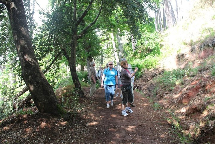 Vale Paraíso - Rochão (Half Day Walk)