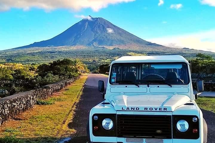 Full-Day Guided Tour in Pico Island