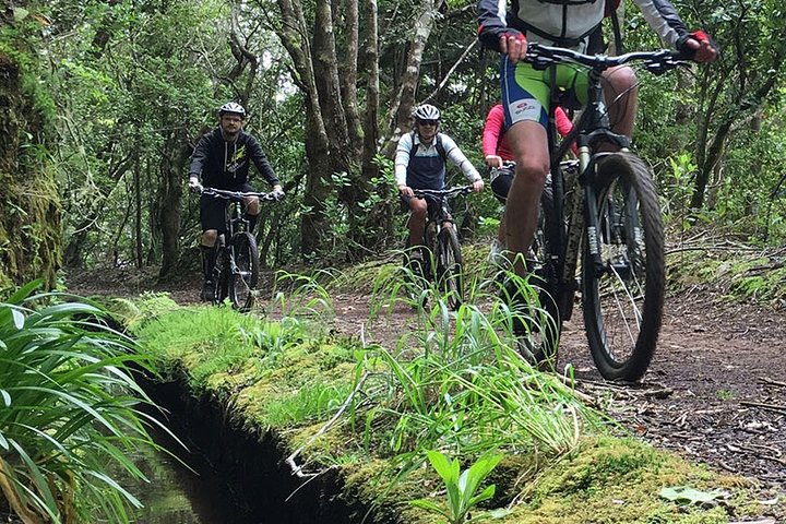 Mountain Biking Tour - Trail Experience Tour