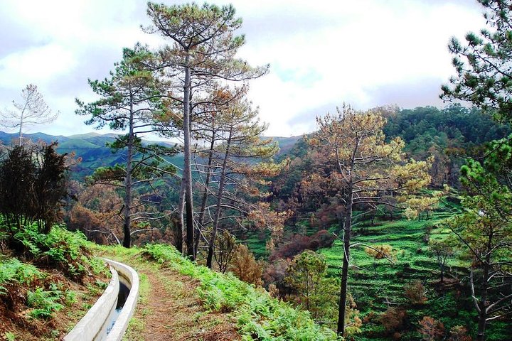 Levada Prazeres - Ponta do Pargo