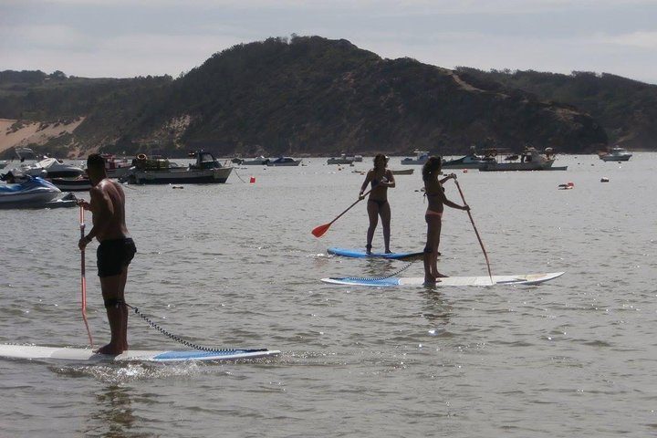 Rental of boards and stand up paddle lessons