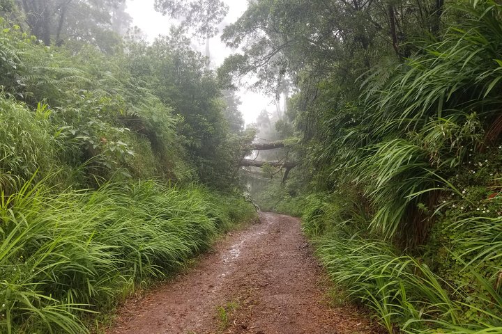 Madeira Off-Road Tours