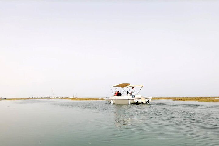 Ria Formosa Eco Boat Trip from Faro