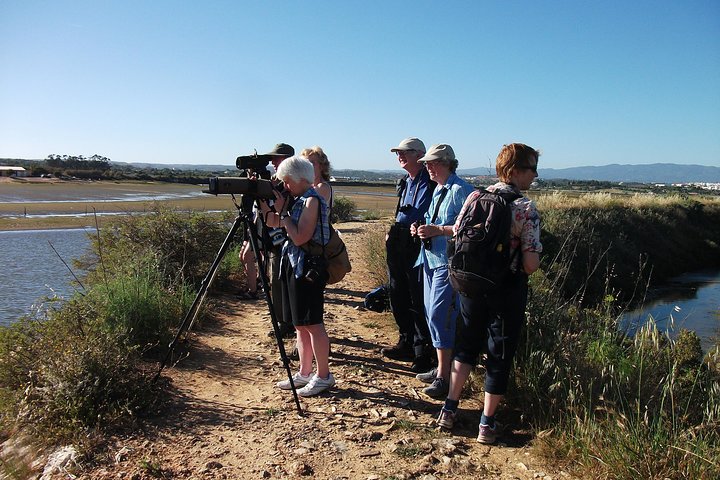 Birdwatching at Ria de Alvor