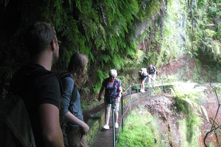 Levada do Rei - Ribeiro Bonito (Full Day Walk)