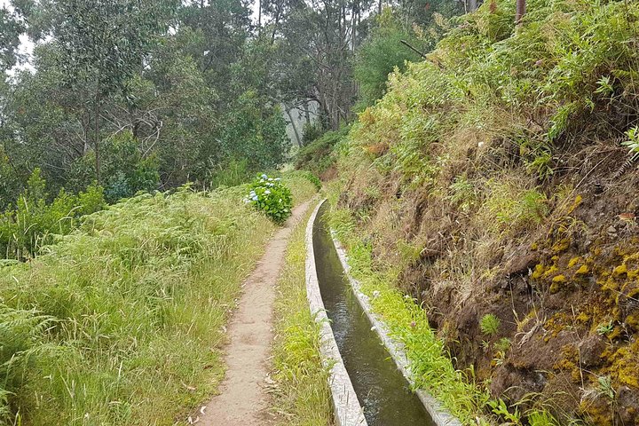 Private Guided Walk Levada Ponta do Pargo