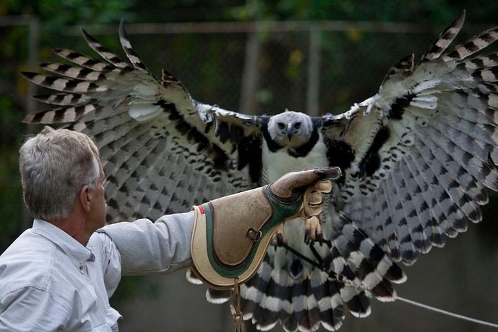 Private tour in Ribatejo with Falcon watch, lunch and typical villages