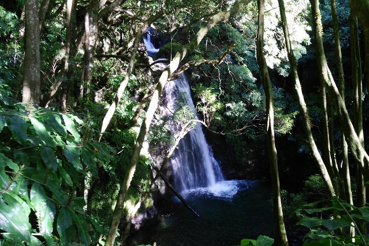 Hiking Tour to Salto do Prego and Sanguinho with Termal Bath