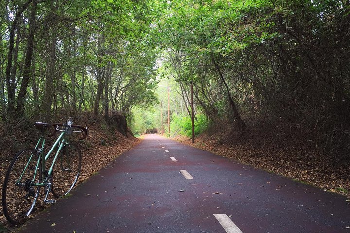 Dão Greenway - Bicla Tour