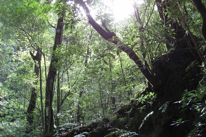 Hidden Corners, The Kings Levada Full-day walk