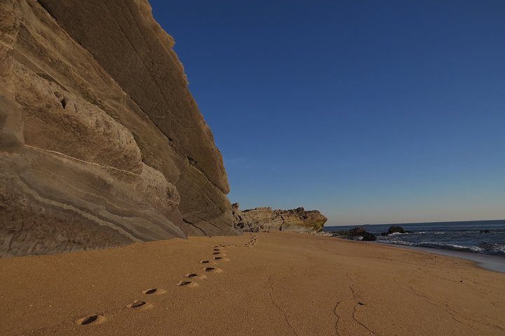 Cabo Mondego: discover this open-air museum from the Jurassic period.