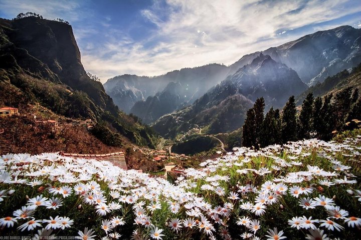 Madeira Half-Day Sightseeing Tour with Wine Tasting