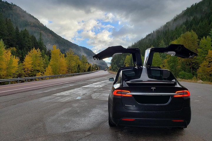 Tesla Model X Transfers