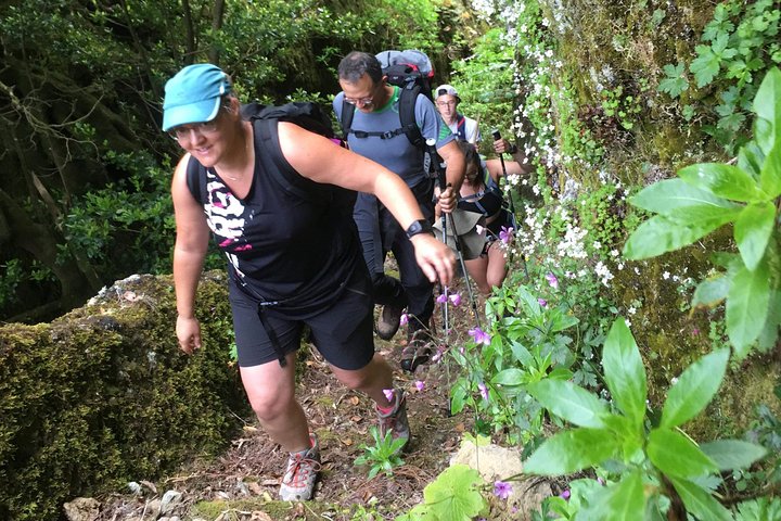 Pure adventure, the best selection of walking tours and Levadas in Madeira!