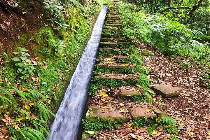 Private Guided Walk Levada Brasileiro – Levada do Moinho