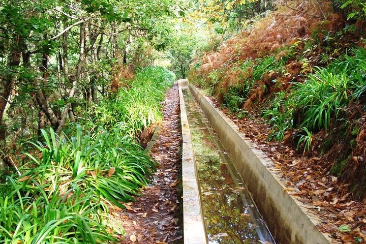 Private Guided Walk Levada Prazeres – Raposeira