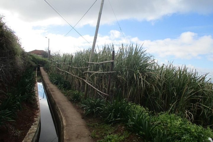 Rota do Açucar - Levada Nova (Half Day Walk)