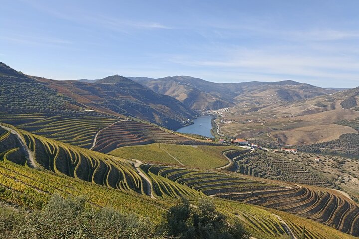 Douro Region Full Day Tour