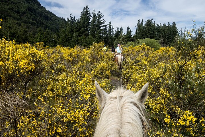 Horse Ride With The Sheppard - Private Tour