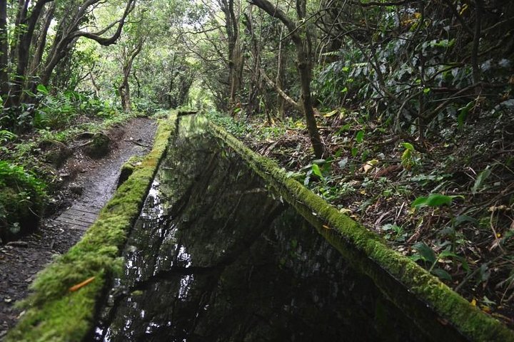 Half Day Walking Tour Lagoa do Fogo