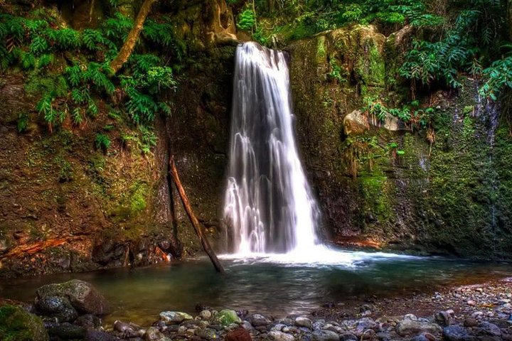 Full Day Hiking Faial da Terra (Min. 4 persons)