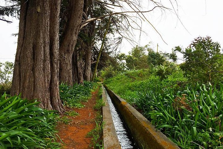 Private Guided Walk Levada Nova – Santo da Serra