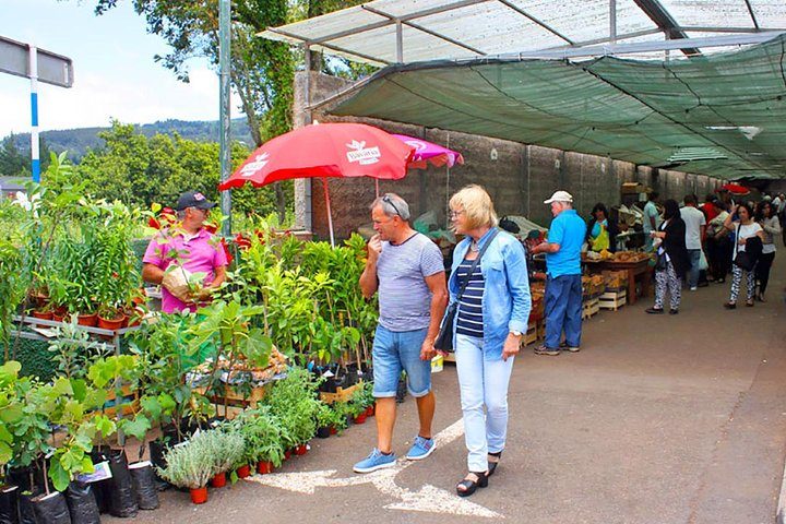 Sunday Market and Gardens Tour