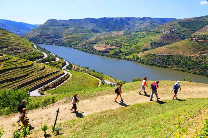 Douro Valley Tour with Wine Tasting, Lunch and Optional Cruise