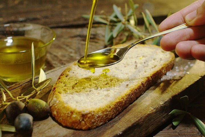 Olive Oil Tour in Portugal