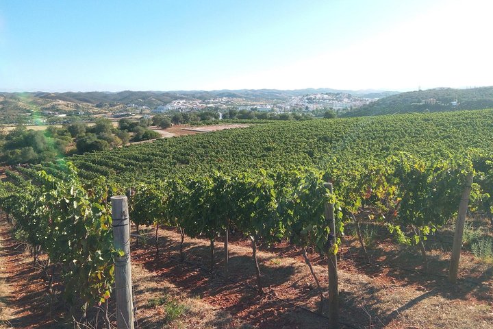 Algarve Wine Tour in Lagoa and Silves with Lunch