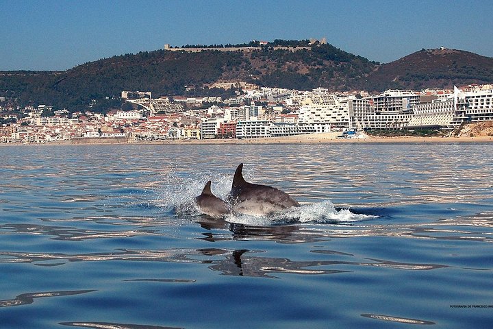 Arrábida Mountain with Paddle Board Class