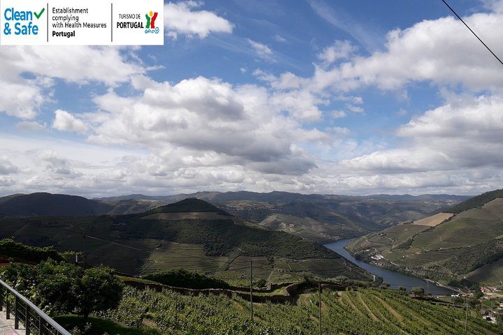 Private Day Tour to Douro Valley with Wine Tasting