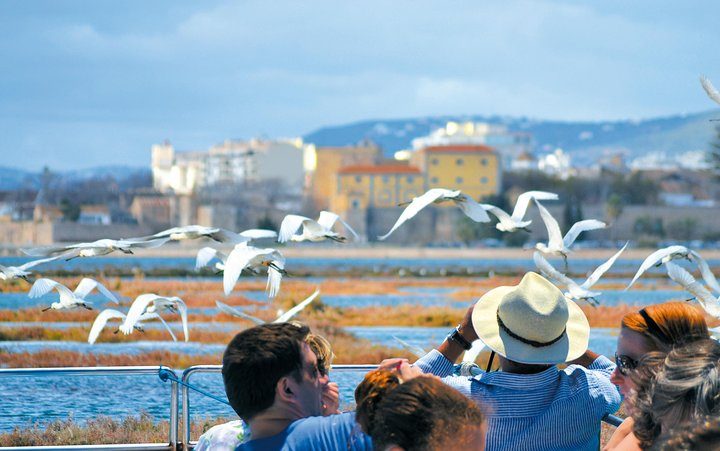 Eco Tour Ria Formosa - Guided Nature Tour from Faro to Ilha Deserta